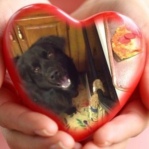 Meet your Posher, Teresa